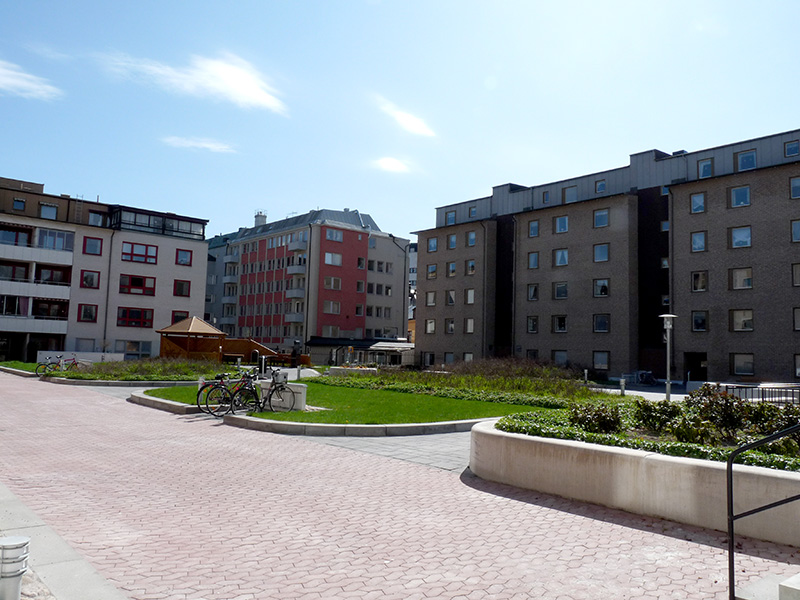 sommar_2010_001-jpg