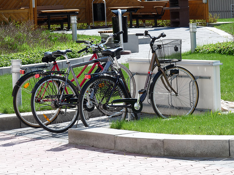 sommar_2010_002-jpg