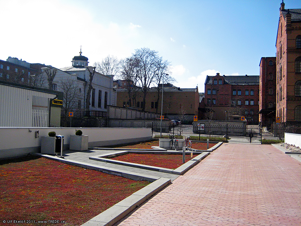 varen_2011_003-jpg