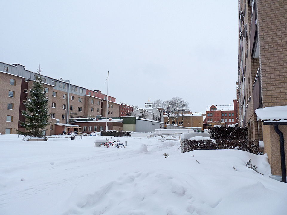vinter_2010_015-jpg