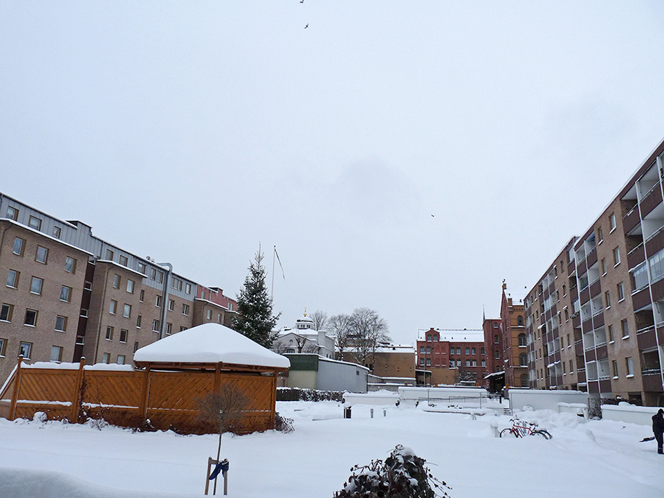 vinter_2010_017-jpg