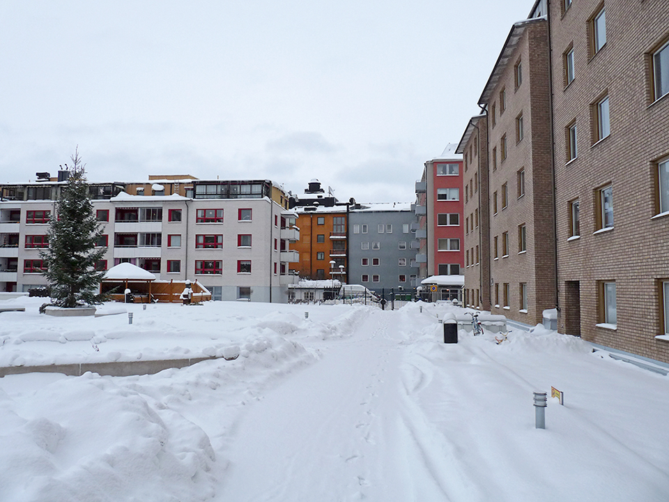 vinter_2010_026-jpg
