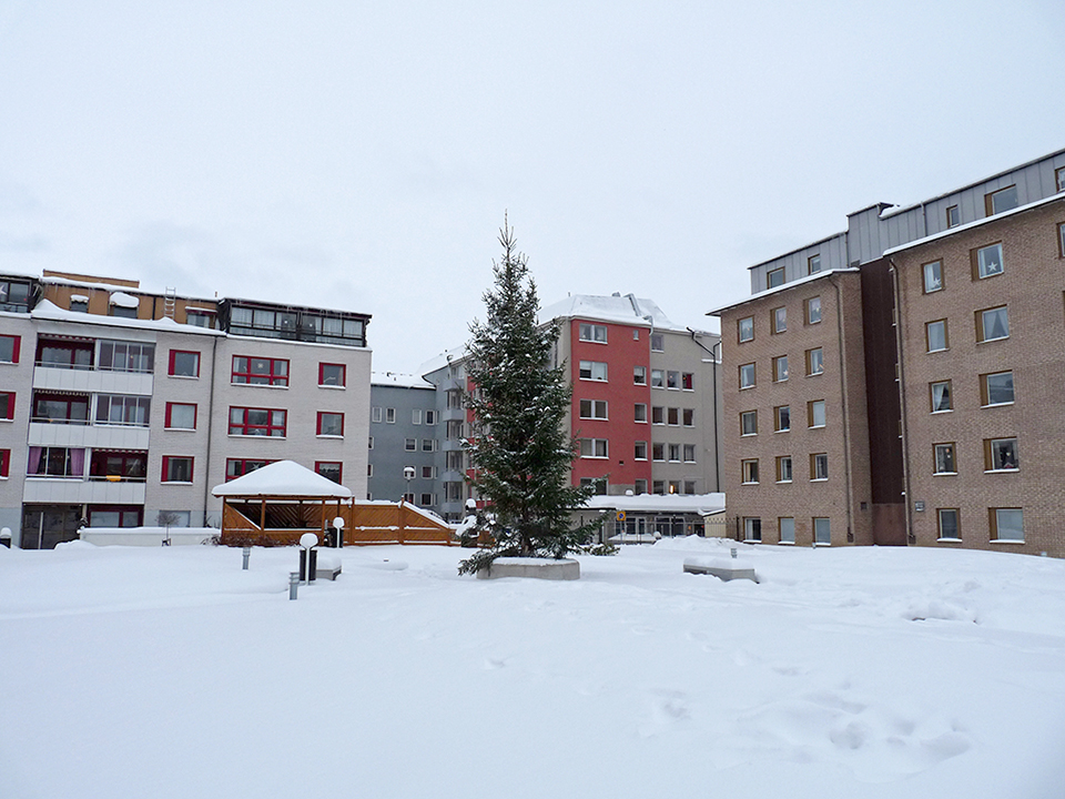 vinter_2010_028-jpg